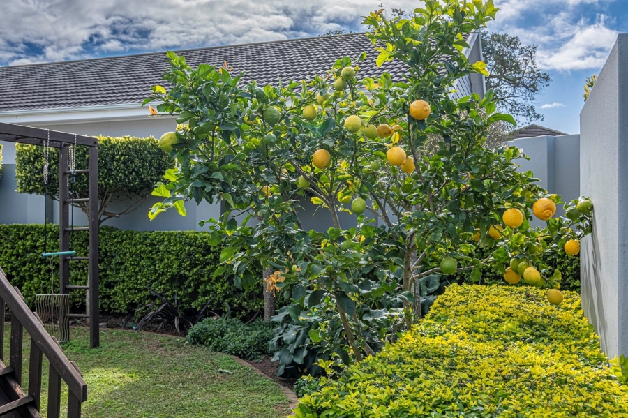 4 Bedroom Property for Sale in Walmer Eastern Cape